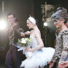 Swan Lake, 2011
