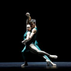 In the Middle, Somewhat Elevated, 2016